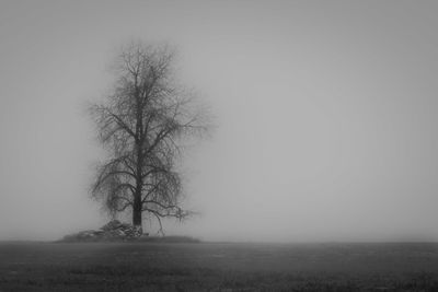 Bare tree on field against sky during winter