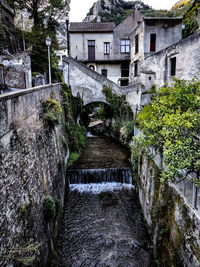 Plants growing by canal amidst buildings