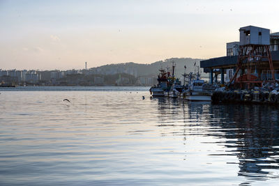 Fishing boats docked at a fishing village in korea.