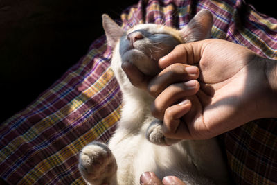 Cropped hand petting cat