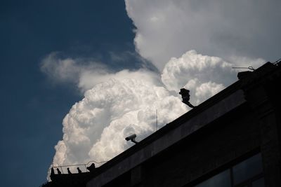 Low angle view of bird perching on building against sky