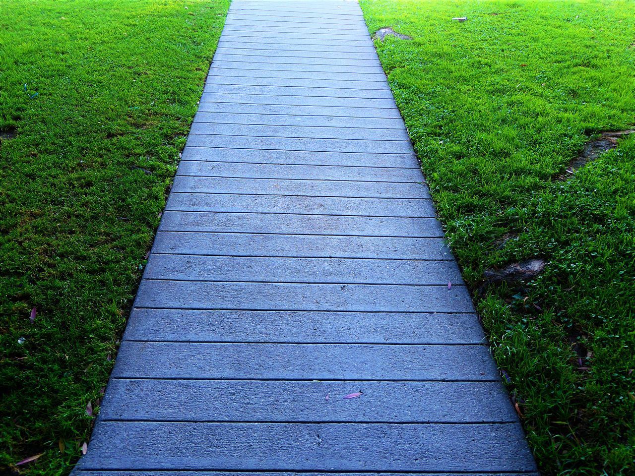 HIGH ANGLE VIEW OF FOOTPATH IN PARK