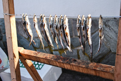 Fish drying on metal against wall