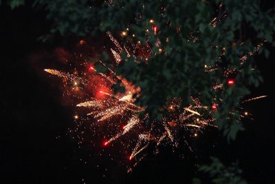 Firework display at night