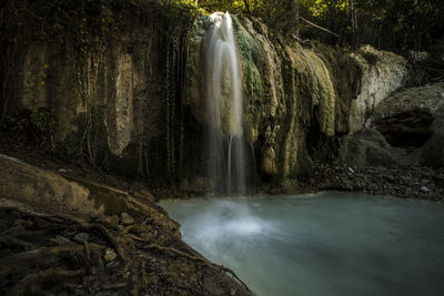 Scenic view of waterfall in forest