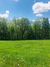 Scenic view of field against sky