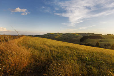 Scenic view of land against sky