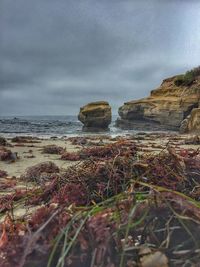 Scenic view of rocky beach