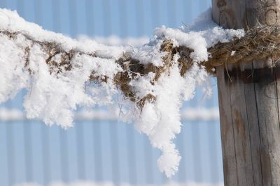 Close-up of frozen ice