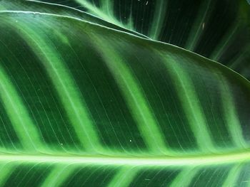 Full frame shot of illuminated water at night