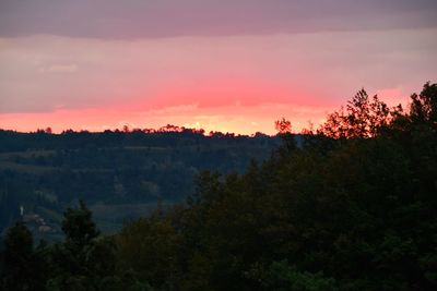 Scenic view of trees against sky during sunset