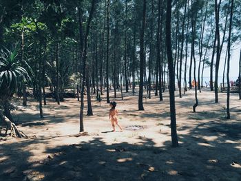 Full length rear view of naked boy standing amidst trees at beach