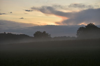 Trees on field against sky during sunset