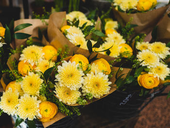 Close-up of yellow flowers