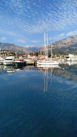 Sailboats moored in harbor