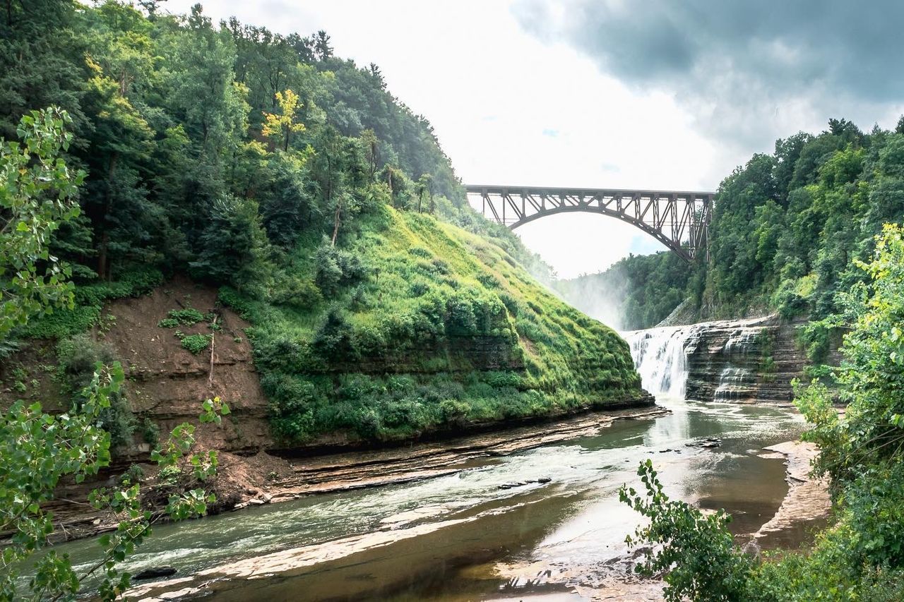 ARCH BRIDGE OVER RIVER IN FOREST