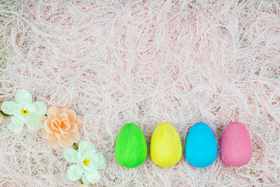 High angle view of multi colored flowers