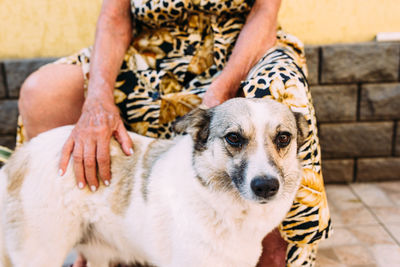 A very old smartly dressed woman stroking her jet dog outside the house