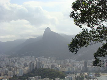 Trees and buildings in city against sky