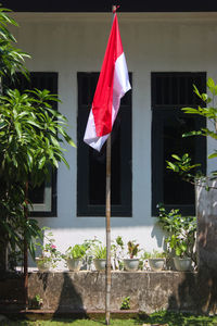 Potted plants outside house