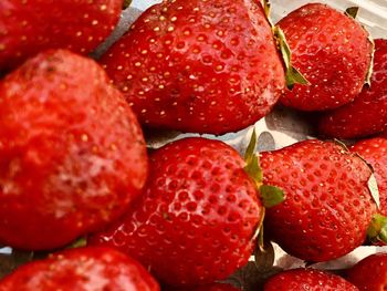 Close-up of strawberries