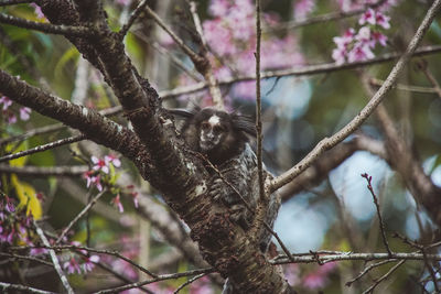 Low angle view of bird perching on tree