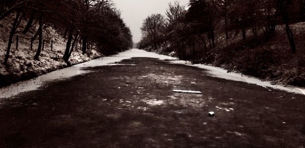 Road amidst trees against sky during winter