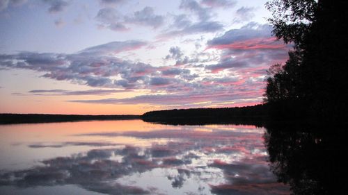 Reflection of trees in calm lake