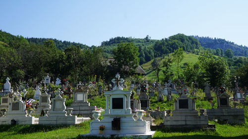 Trees in cemetery against clear sky