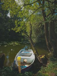 Scenic view of lake amidst trees in forest