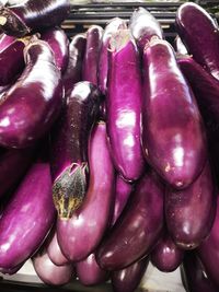 Close-up of pink for sale at market