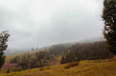 Scenic view of landscape against cloudy sky