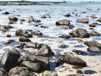 High angle view of stones on wet shore