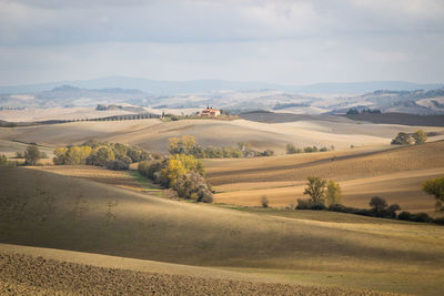 Scenic view of agricultural landscape against sky