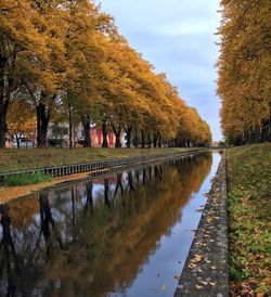 Scenic view of river amidst trees in park during autumn