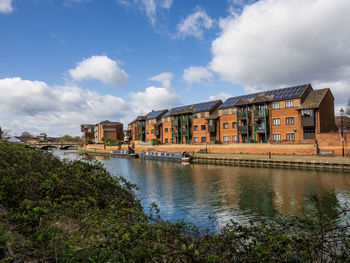 The nene on sunny day