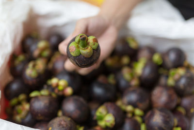 Close-up of hand holding fruit