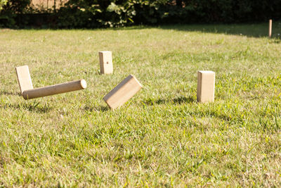 View of poles on grassland