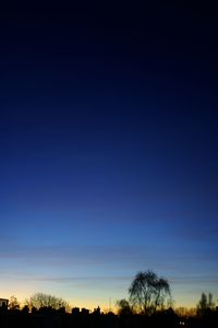 Low angle view of silhouette trees against blue sky