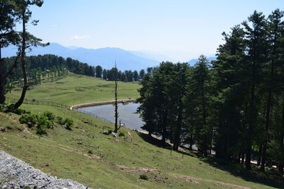 Scenic view of trees on field against sky