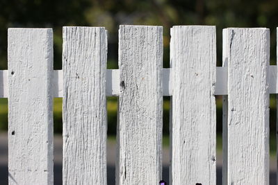 Close-up of fence on wood