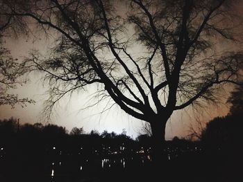 Silhouette of bare tree against sky
