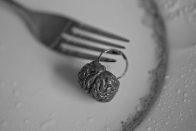 Close-up of crab on table