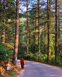 Rear view of monk walking amidst trees in forest