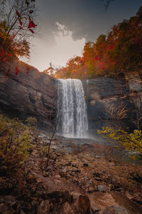 Scenic view of waterfall in forest