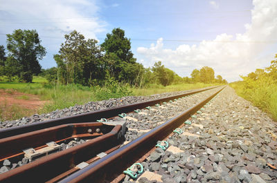 Railroad track amidst trees against sky