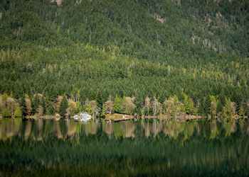 Reflection of trees in lake