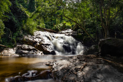 View of waterfall in forest