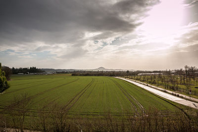 Scenic view of agricultural field against sky