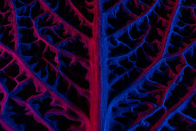 Full frame shot of abstract pattern